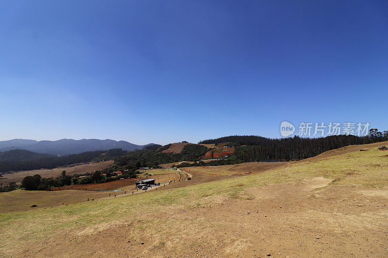 在晴朗的天空下，春天的Pagalkod Mund, Ooty，泰米尔纳德邦景观的美丽风景